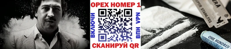 COCAIN Fish Scale  где купить наркоту  Нестеров 