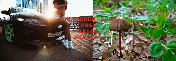 скорость mdpv Нефтегорск