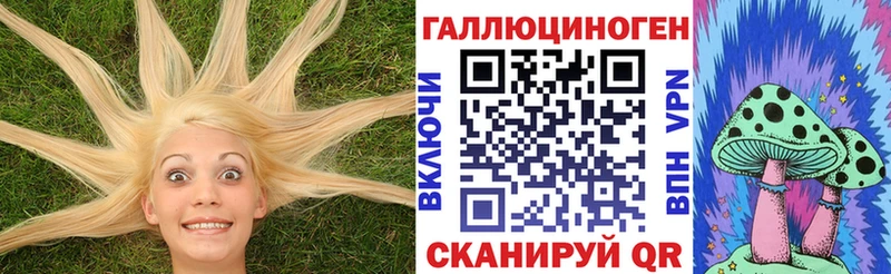 МЕГА ссылка  сколько стоит  Нестеров  Псилоцибиновые грибы GOLDEN TEACHER 