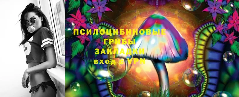 Псилоцибиновые грибы Cubensis  купить наркоту  Нестеров 